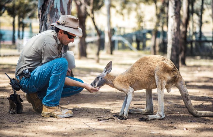 The Top Reasons Visitors choose Australia are: