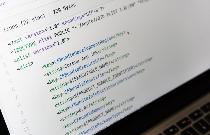 Detailed view of XML coding on a computer screen, showcasing software development.